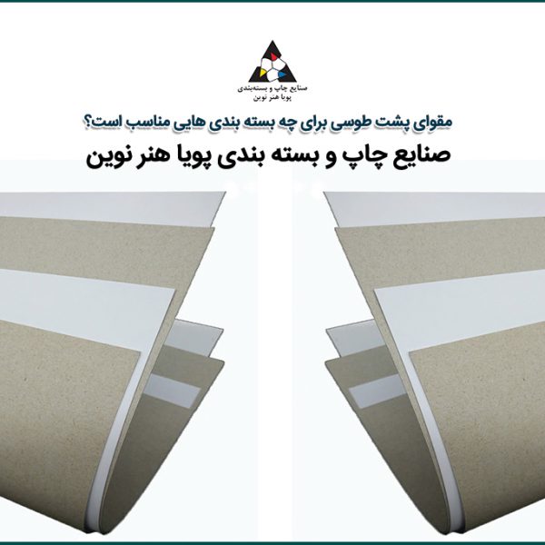 مقوای پشت طوسی